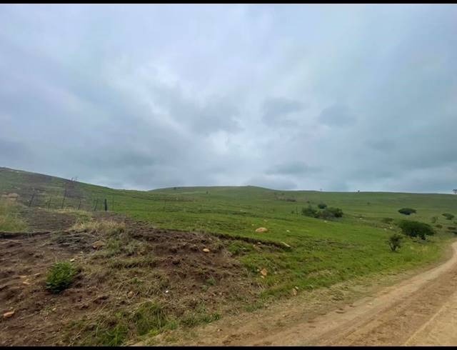 FARM FOR SALE IN GREYTOWN